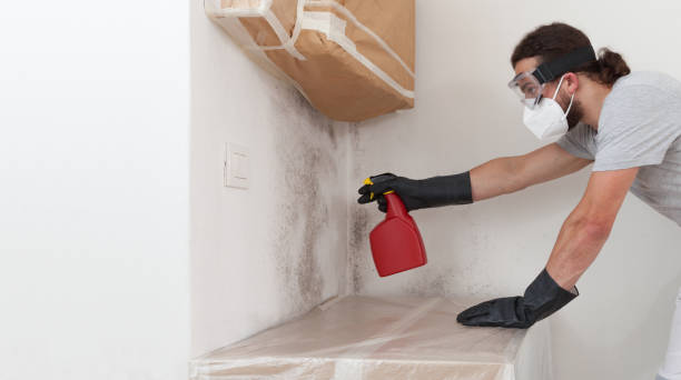 Professional Mold Remediation technician working in Groveville, NJ