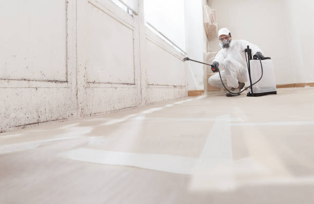 24/7 Emergency Mold Remediation experts in Groveville, NJ