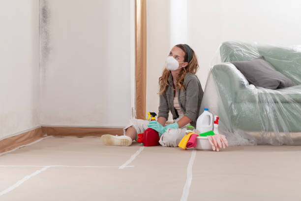 Reliable Mold Remediation contractor in Groveville, NJ by 24 Hour Mold Removal